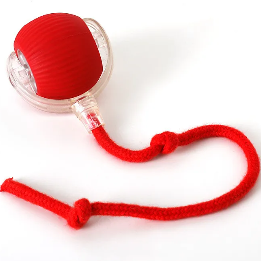 PurrPlay Self-Rolling Cat Toy Ball