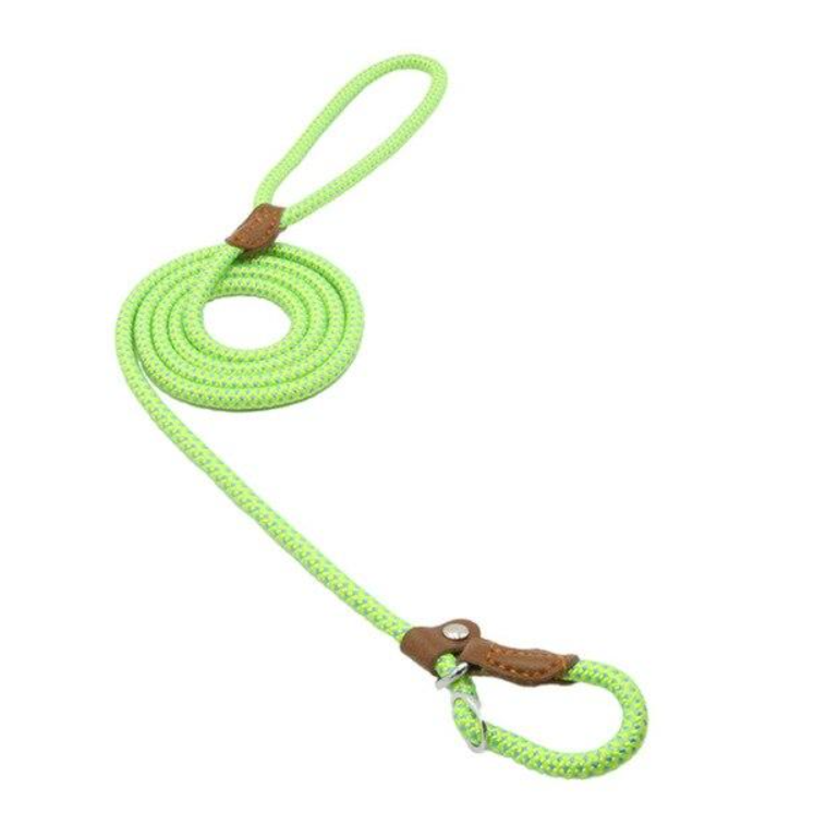 Nylon Dog Collar And Leash Set