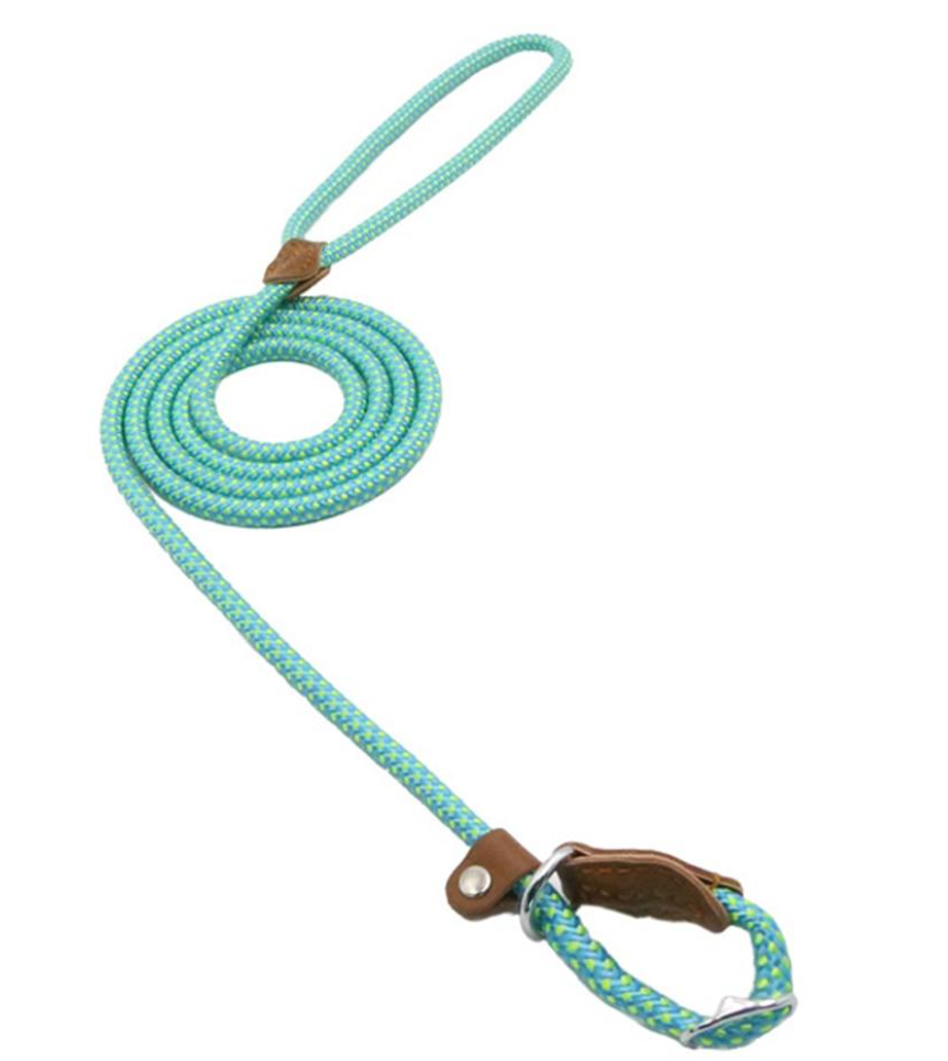 Nylon Dog Collar And Leash Set