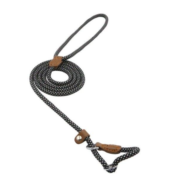 Nylon Dog Collar And Leash Set