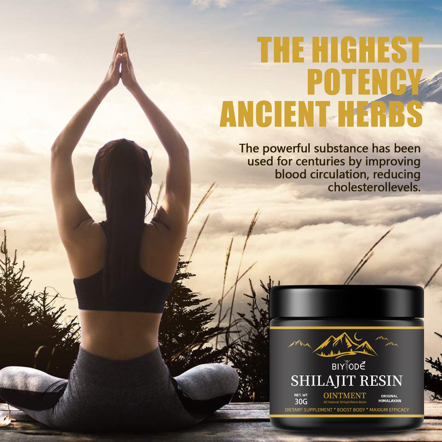 Natural Pure Shilajit Resin
