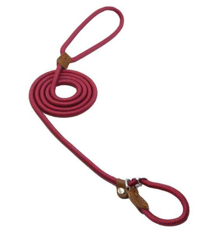 Nylon Dog Collar And Leash Set