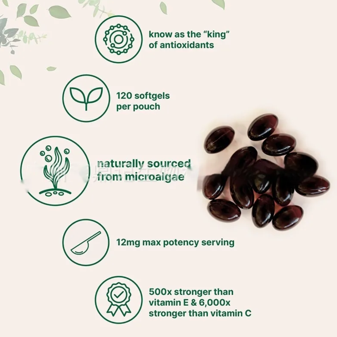 Astaxanthin Soft Capsules