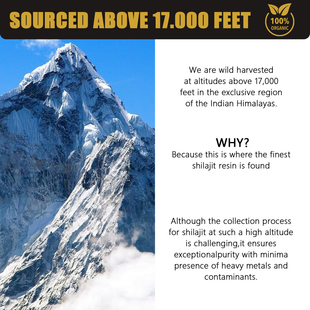 Natural Pure Shilajit Resin