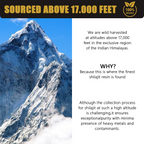 Natural Pure Shilajit Resin