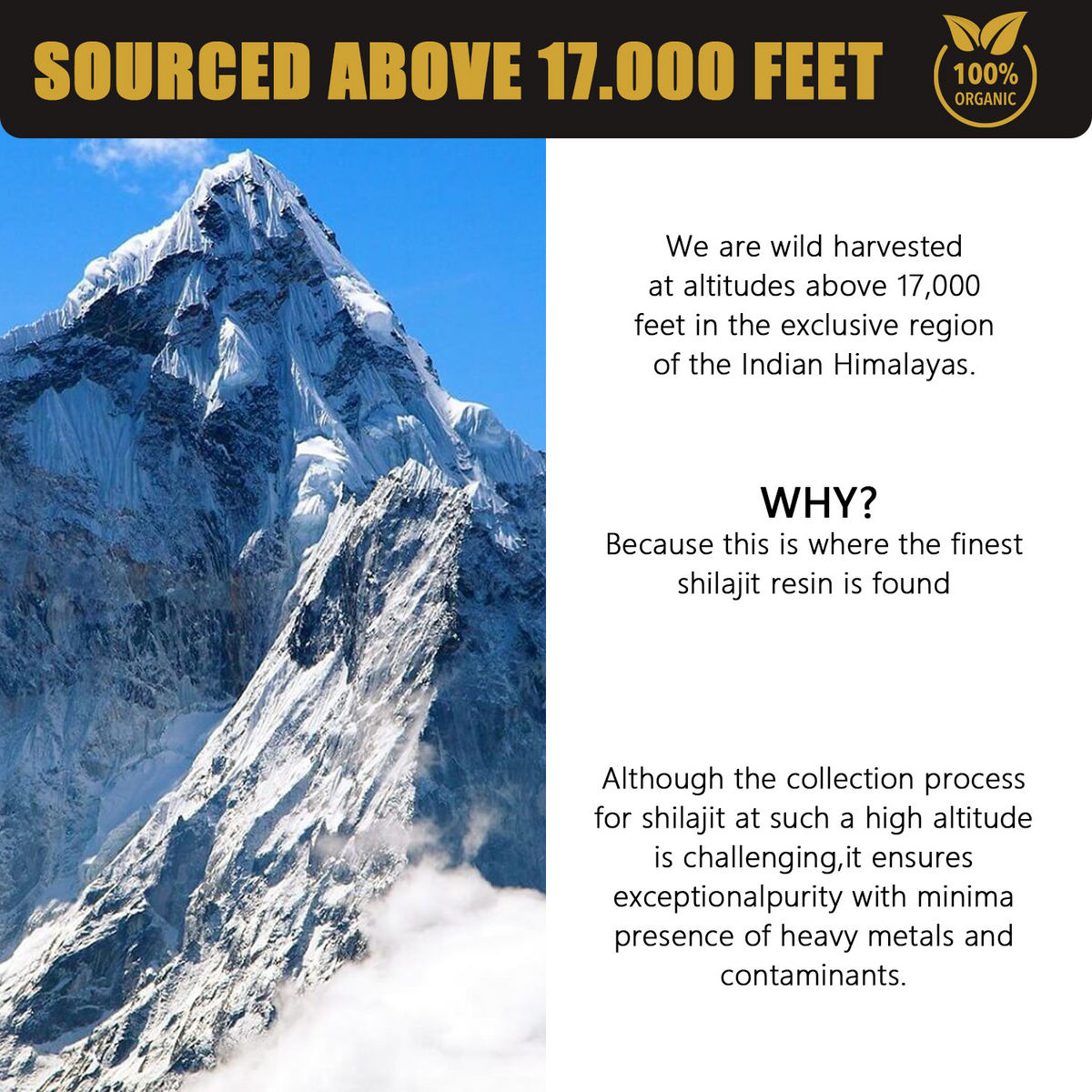 Natural Pure Shilajit Resin