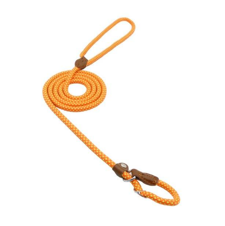 Nylon Dog Collar And Leash Set
