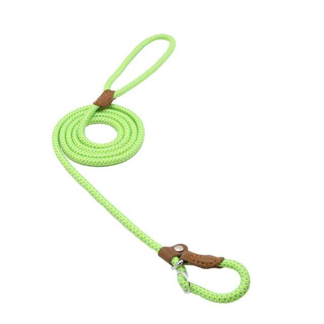 Nylon Dog Collar And Leash Set
